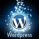 wordpress web development pakistan